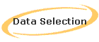 Data Selection